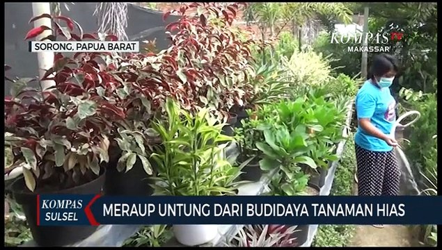 Meraup Untung Dari Budidaya Tanaman Hias