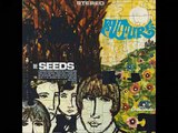 The Seeds _– Future[ FULL ALBUM]1967