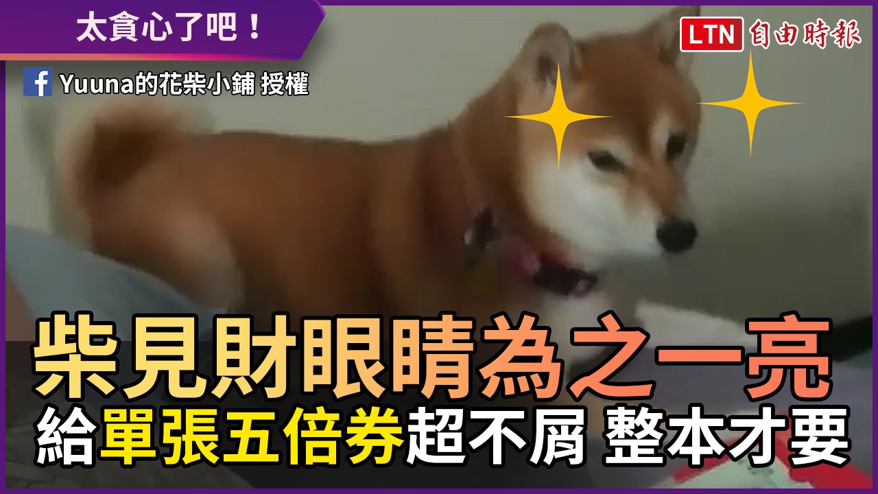柴見財眼睛為之一亮！ 給「單張五倍券」超不屑 整本才要