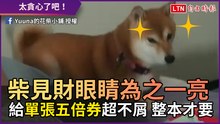 柴見財眼睛為之一亮！ 給「單張五倍券」超不屑 整本才要