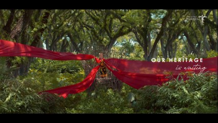 Discover the Amazing Experiences Waiting for You in Indonesia