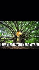 Barnes and Noble -Book Launch Woodun Indians by Gary Oliver