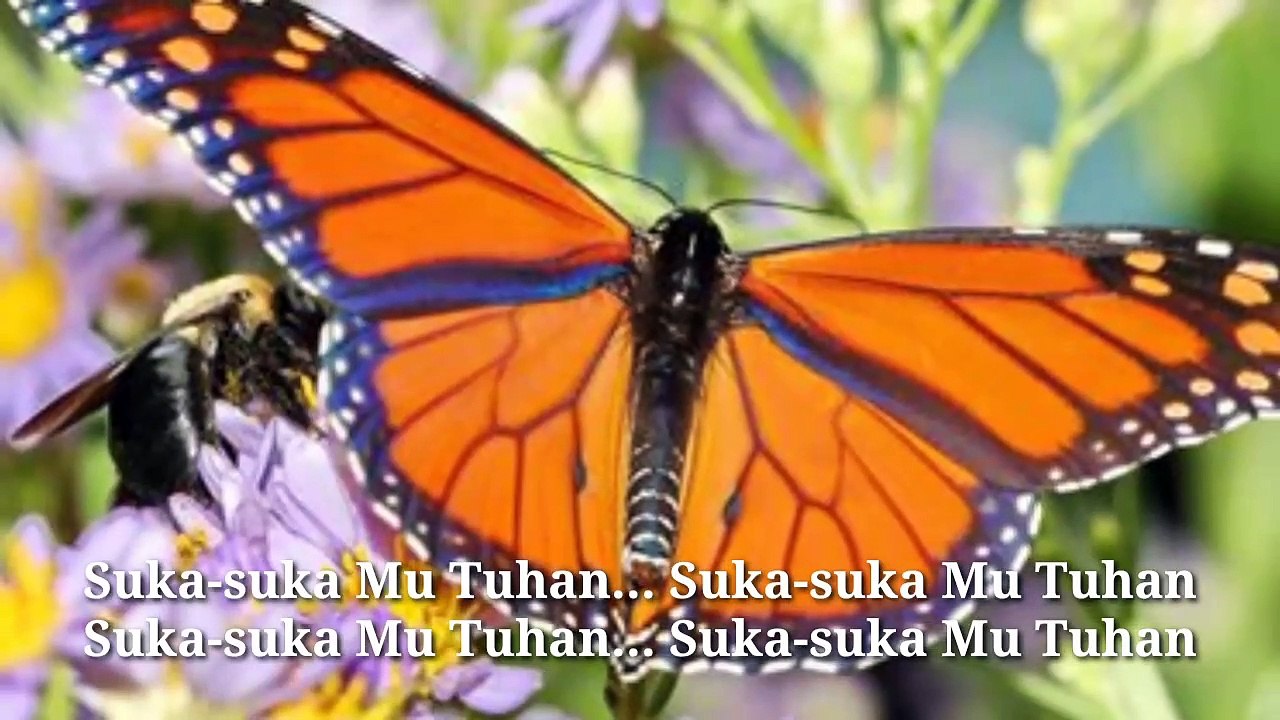 Suka-Suka Mu Tuhan - Versi Dangdut (Video Lirik)