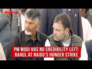Modi Has No Credibility Left, Says Rahul Gandhi At Andhra CM Naidu's Dharna
