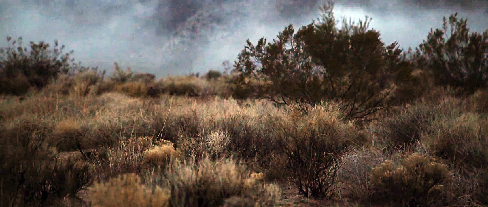 Nature Beautiful video | 1080p HD |grant porter | frankincense
