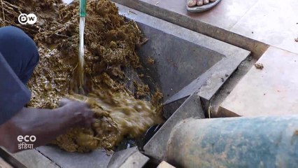 तमिनलाडु में गोबर से बन रही है बिजली