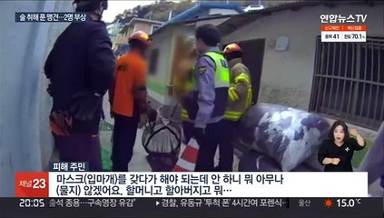 "우리 개는 안 물어" 술 취해 맹견 푼 견주…2명 부상