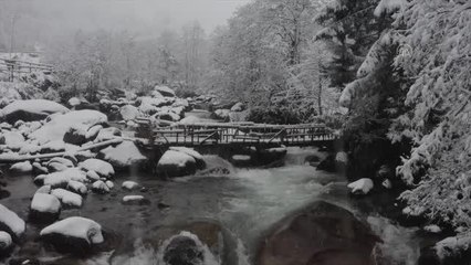 Ayder'de kar yağışı