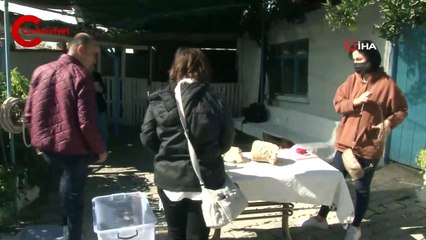 Küçük kızın bulduğu fosil müze tarafından alındı