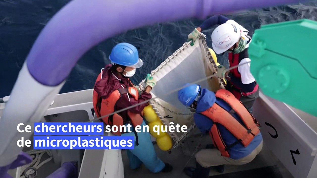 Japon: à la pêche aux microplastiques, ça mord à tous les coups