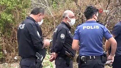 Antalya'daki Portakal Bahçesinde Ölüm: Rusça Mesajın Türkçe Çevirisiyle Şok Edici Gerçekler Ortaya Çıktı 🧩