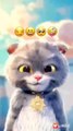 Si meong kucing lucu - Funny cats and kittens