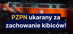 PZPN ukarany za zachowanie kibiców!