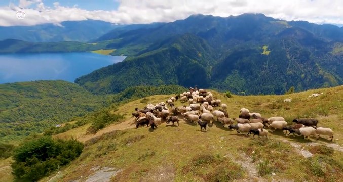 RARA Lake | Most Beautiful Lake in Nepal | Travel Video