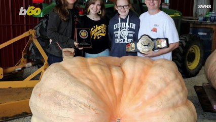 Must See! This Is the Incredible Timelapse of a Nearly 1,500 Pound Pumpkin Being Carved for Halloween