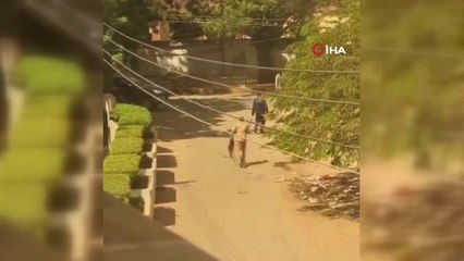 Son dakika haber: Sudan'da OHAL kararnamesi