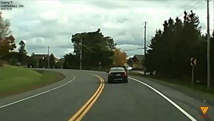 Dog hits car (close call) 2021.10.18 — CORNWALL, ON