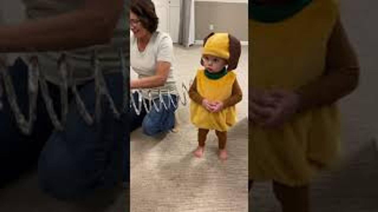 Twin Toddlers Dress Up as Slinky Dog for Halloween