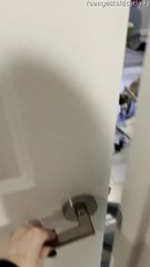 Foster Kittens Get Wild When Nobody's Watching