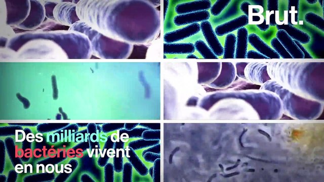 Ces bactéries qui influencent notre cerveau