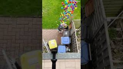 Dropping Ball-Pit Balls on Unsuspecting Mother