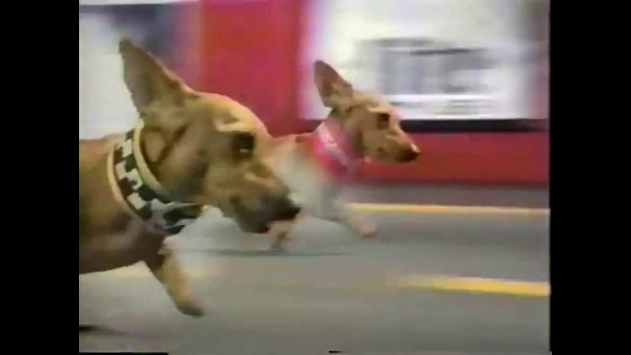 Perritas Chao Garden