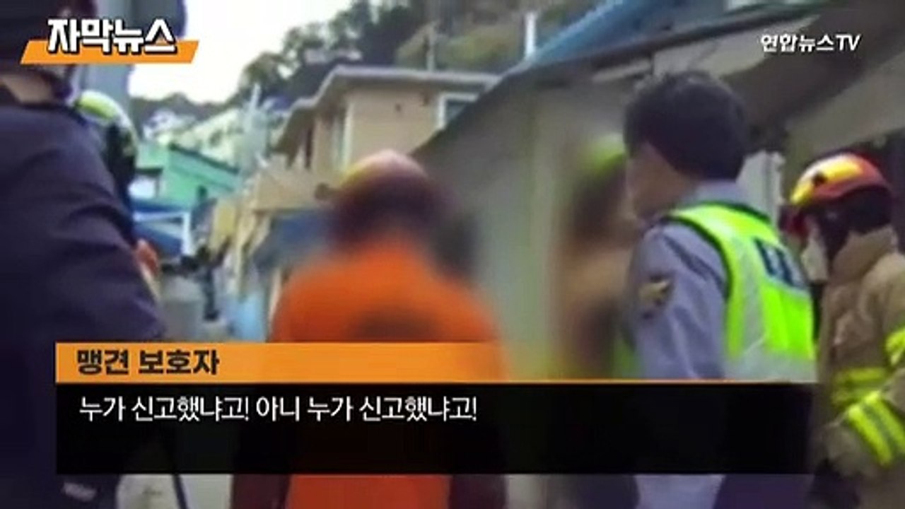 [자막뉴스] "우리 개는 안 물어" 술 취해 맹견 푼 견주…2명 부상