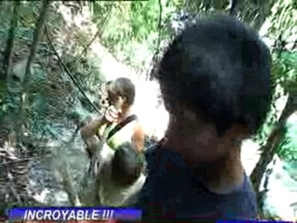 L'ILE MYSTERIEUSE