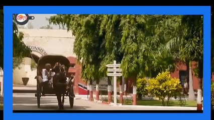 KISAH NYATA Perjuangan Tim Hoki India