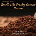 Fresh Coffee Beans - Smells Like Freshly Ground Heaven