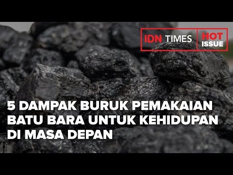 5 DAMPAK BURUK PEMAKAIAN BATU BARA UNTUK KEHIDUPAN DI MASA DEPAN