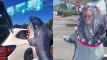 ''JAW-kward shark attack at the airport' Woman enters airport in a shark costume'