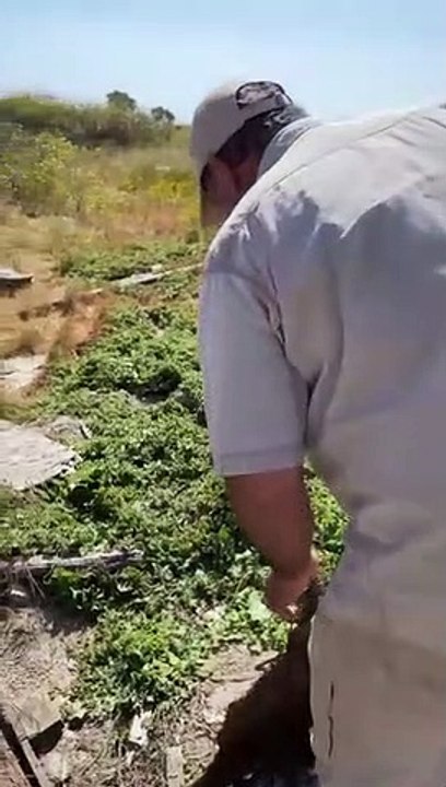 The Most Rattlesnakes I've SeenWell this day was wild  E