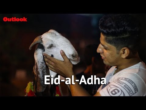 Ahead Of Eid-al-Adha, Traders Sell Sacrificial Goats At Ghazipur Mandi, Jama Masjid In Delhi