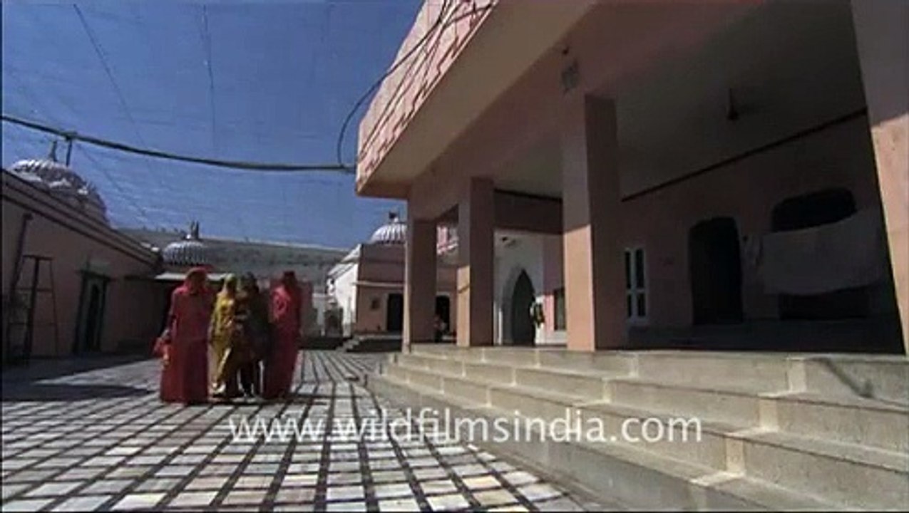 Karni Temple, Rajasthan