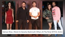 Salman Khan, Riteish & Genelia Deshmukh Others At The Party Of Film Antim