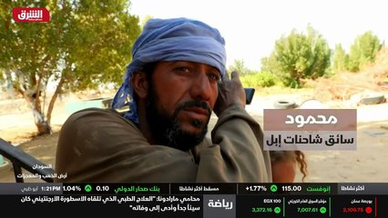 ...تتم زراعة الطماطم بالتبادل مع الفول أو ح...