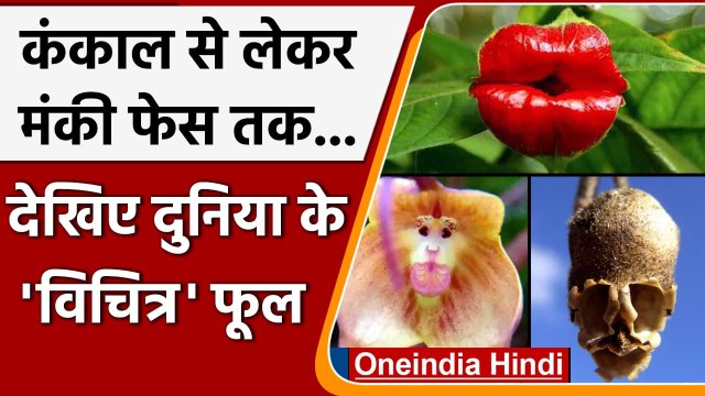 Strange Flowers : फूल है या कोई अजूबा, देखें सबसे विचित्र फूल | weird flowers | वनइंडिया हिंदी