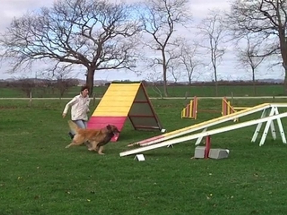 020308-PtiBoy-P1-01