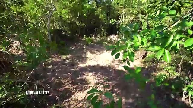 How To Challenge Build Secret Temple Underground House And Temple Swimming Pools