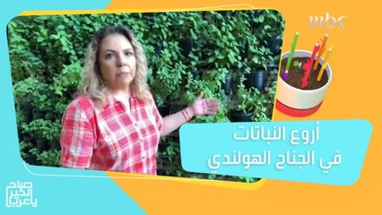 تعرف على المزرعة العامودية في الجناح الهولندي بـ"إكسبو 2020"