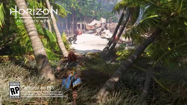 Horizon Forbidden West propose des combats dynamiques.