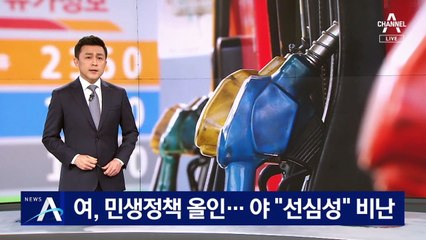 與, 민생정책 올인…野 “대선용 선심성 정책” 비난