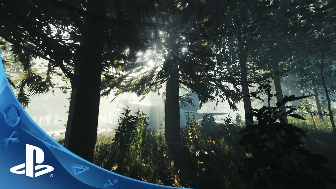 The Forest  - Tráiler