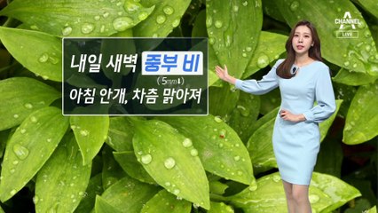 [날씨]새벽 중부 비 살짝…아침 안개 자욱