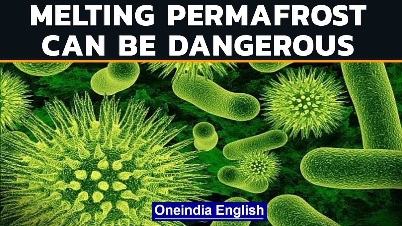 'Melting permafrost will unleash unknown viruses, bacteria, radioactive waste' | Oneindia News