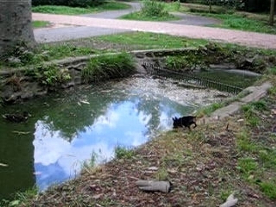 Phénix et les canards 05-07-2005