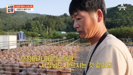 오징어 갑부 부부를 있게 해준 오작교? 오작교를 위한 오징어 덕장 체험 오픈!