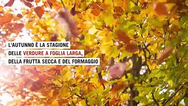 La schiscetta. Verdure d'autunno per la pausa pranzo: coste e spinaci con formaggio e pinoli