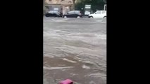 Nubifragio su Catania, strade come fiumi e 'lago' in piazza Duomo